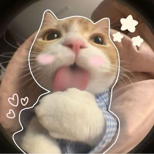 Meet your Posher, Delilah